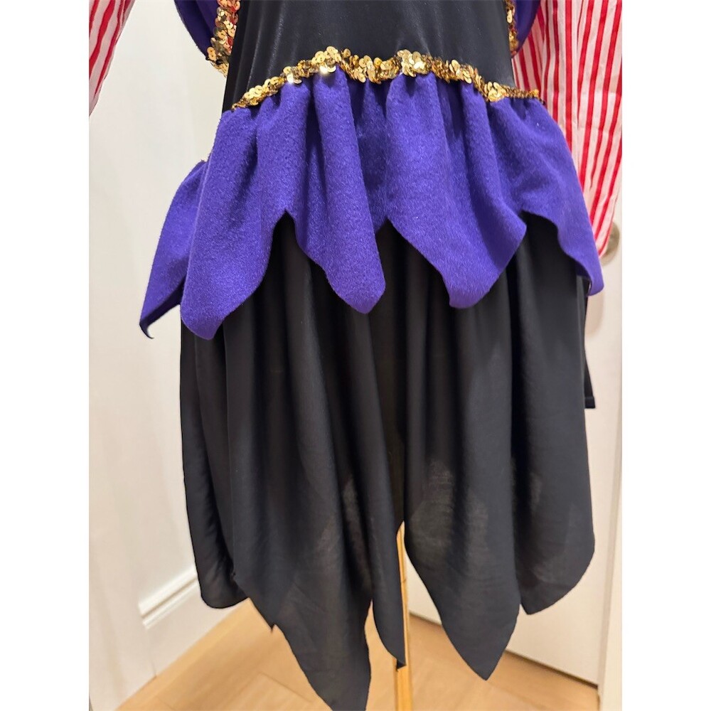 Rare Unique Vintage Childcraft Court Jester Harlequin Costume Dress Womens Small - Picture 6 of 14